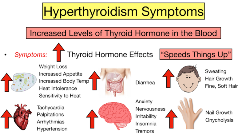 tsh-or-thyroid-stimulating-hormone-test-tsh-levels-tsh-interpretation